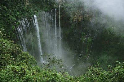 绿色植物覆盖的峡谷中的瀑布